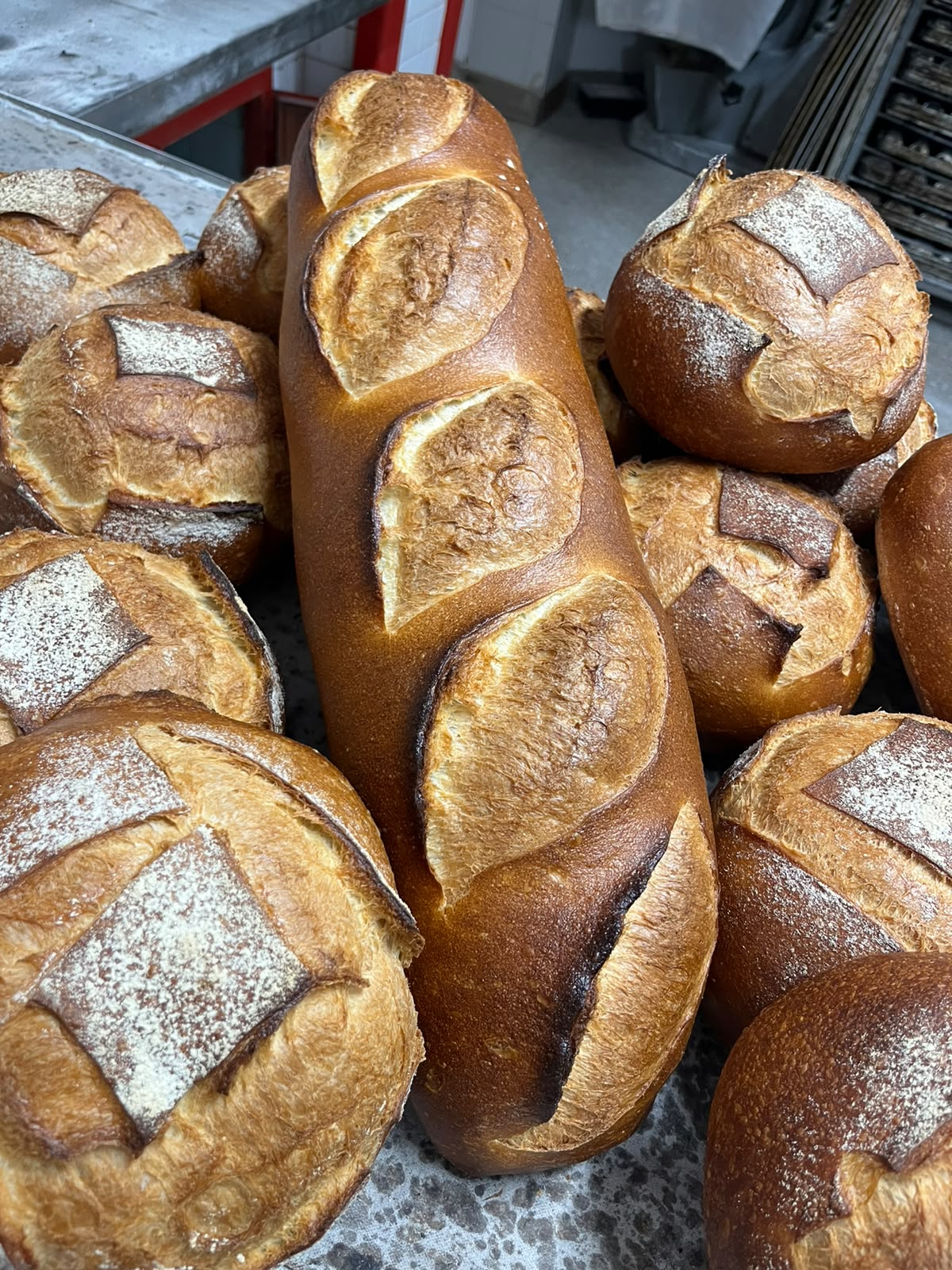 Gros pains et boules scarifiés, dorés, à la sortie du four