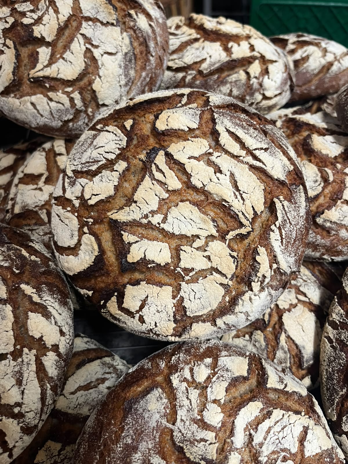 Boules de pain de campagne à la croûte craquelée et farinée