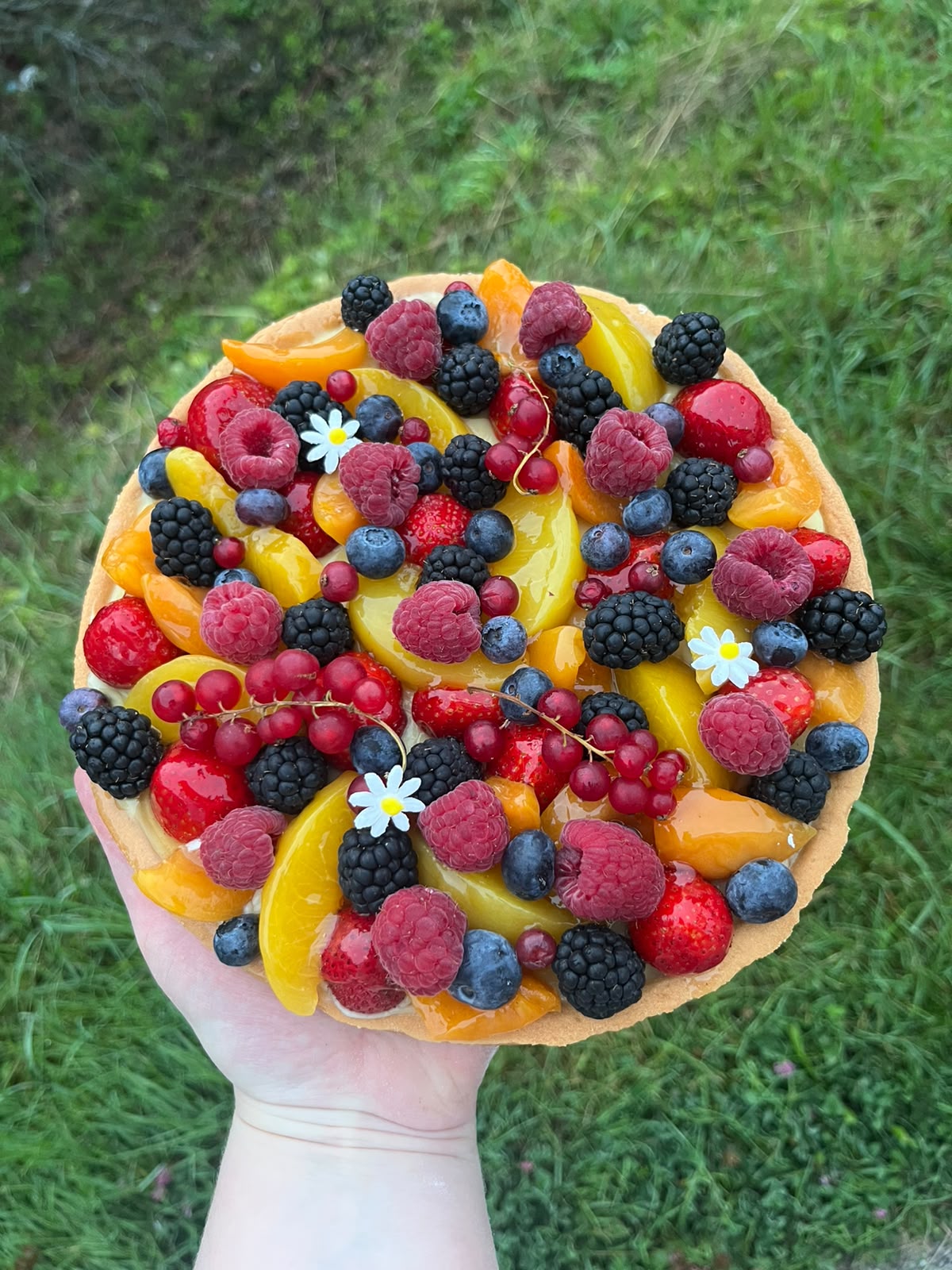 Grande tarte aux fruits d'été tenue à la main : fraises, framboises, mûres, myrtilles, groseilles et abricots